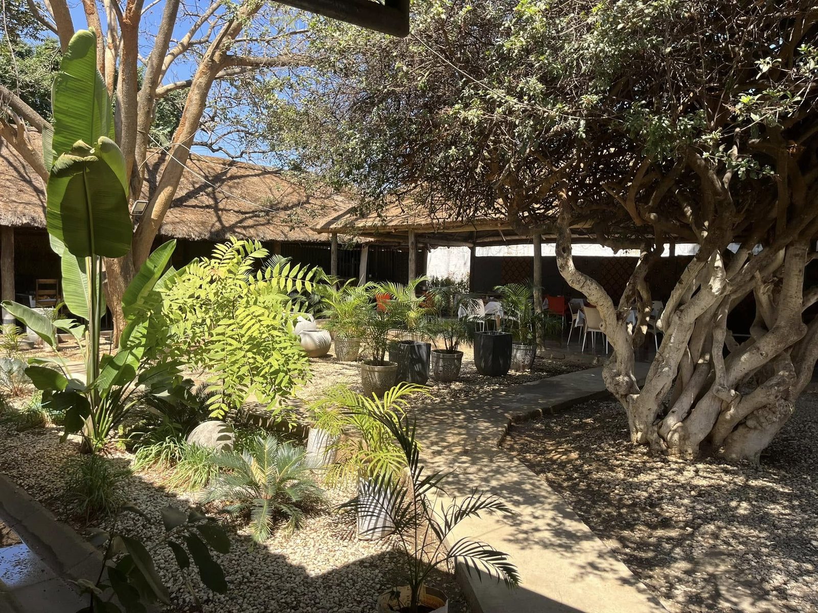 The garden at Twapandula