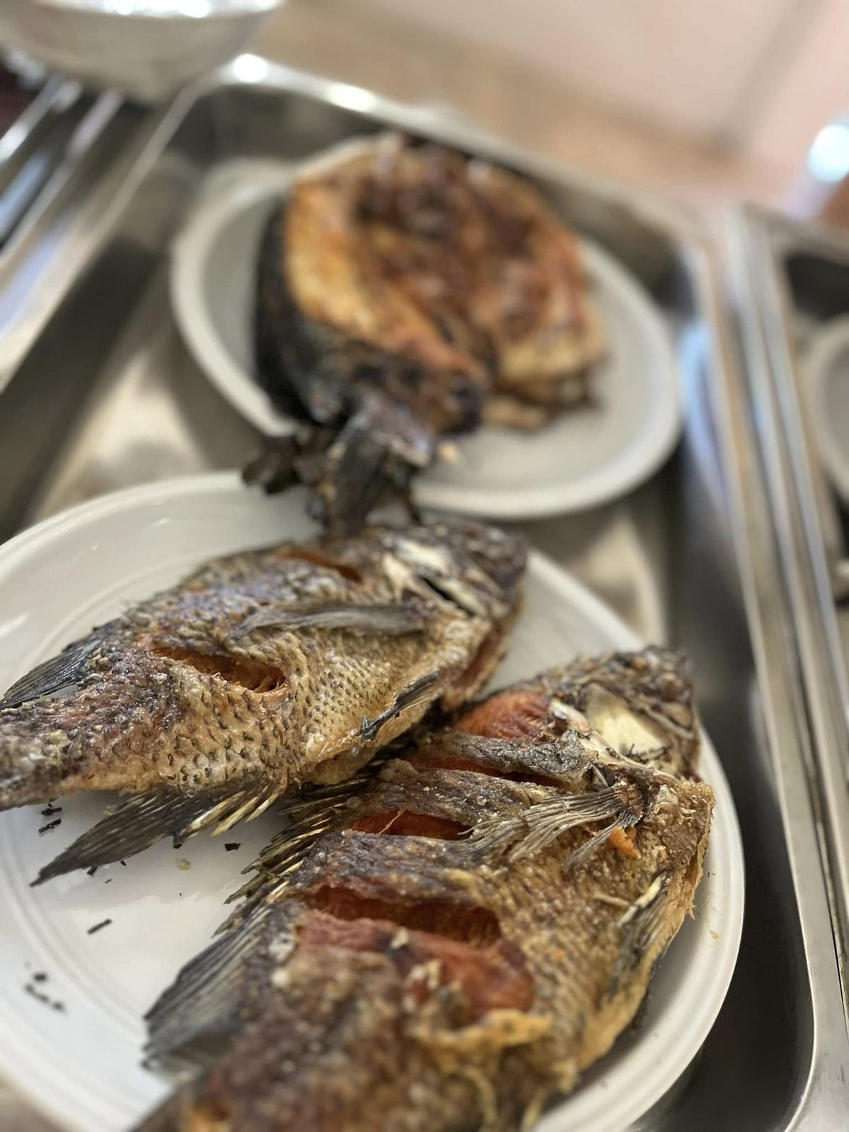 Grilled fish served on white plates